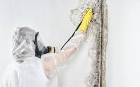 Best Residential Mold Inspection & Testing  in Greenland, AR